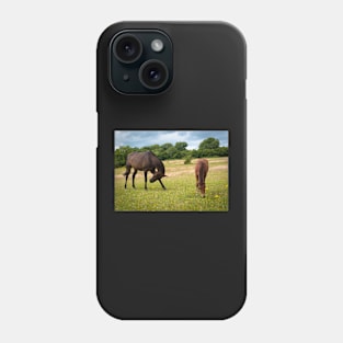 Pasture Phone Case