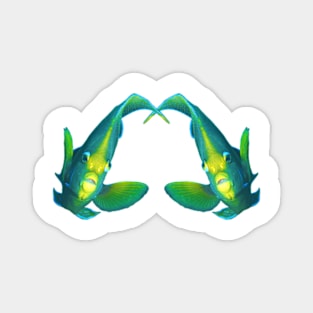 Angelfish | Pair of twins | White background | Magnet