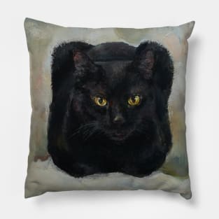 Black square cat Pillow