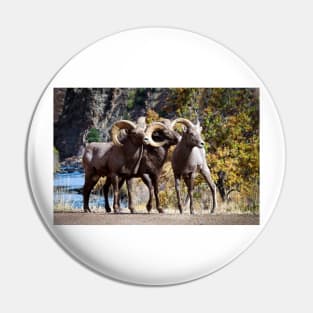 Bighorn Sheep Pin