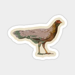 chicken Magnet