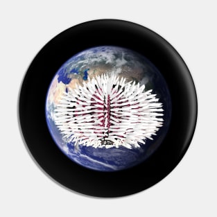 White sea urchin on planet earth Pin