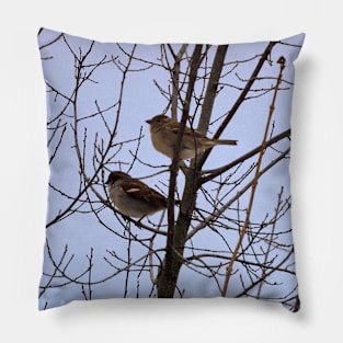 Two Sparrows Perched In a Tree, Male and Female Pillow