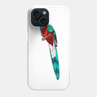 Resplendent quetzal bird cartoon illustration Phone Case