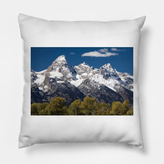 Trees With Mountain Range In The Background Teton Range Pillow by HammiltenJohn