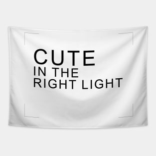 Cute in the right light! TBBT Tapestry