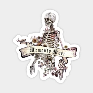 Human Anatomy, ribcage, rib cage, memento mori Magnet