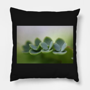 succulent pups trio Pillow