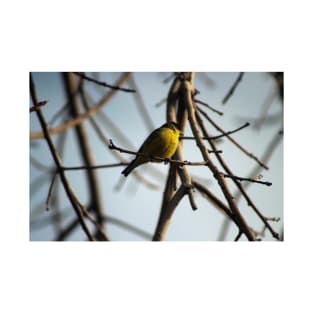 Golden Finch in Tree Palm Desert California T-Shirt