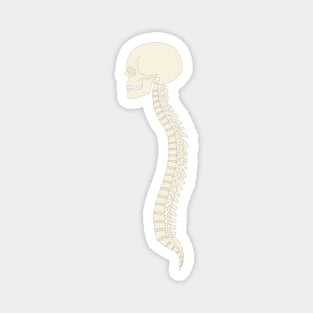 Spinal column Magnet