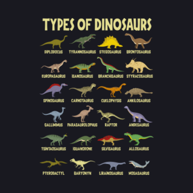 Kids Types Of Dinosaurs Dino Identification - Dinosaurs - Baseball T-Shirt | TeePublic