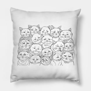 Cats Pillow