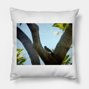 A Bird in a Tree Pillow