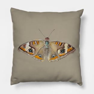 Common Buckeye Butterfly Pillow