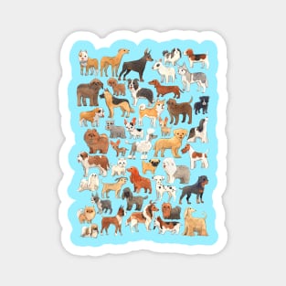 Dogs Magnet