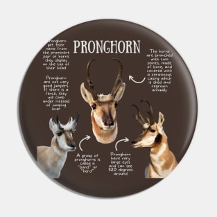 Animal Facts - Pronghorn Pin