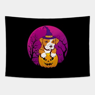 pitbull Witch hat and pumpkin dog Halloween costume Tapestry