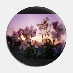 wildflowers & Columbia River sunset 2 Pin