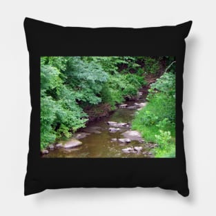 Country Stream Photograph Beautiful Nature Peaceful Babbling Creek Nature Art Pillow