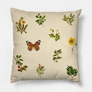 Vintage Botanical pack 3 Pillow