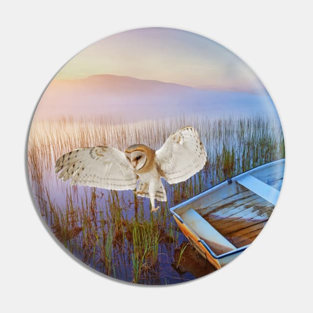 Barn Owl and Boat Pin by lauradyoung