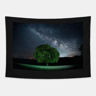 Milkyway - Wexford Ireland Tapestry