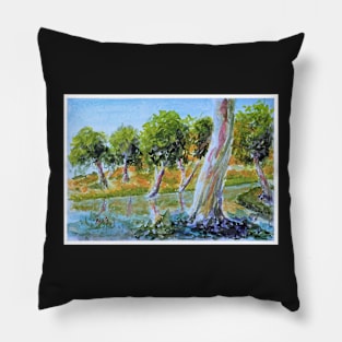 Ellery Creek Northern Territory Pillow