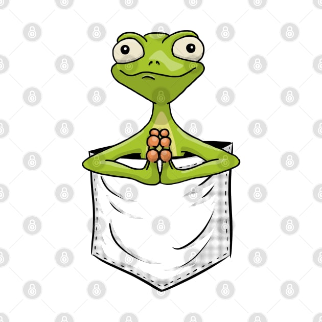 Zen Art Yoga Pose Frog | Gecko Reptile In Pocket by SkizzenMonster