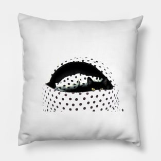 Dotty Dylan Pillow