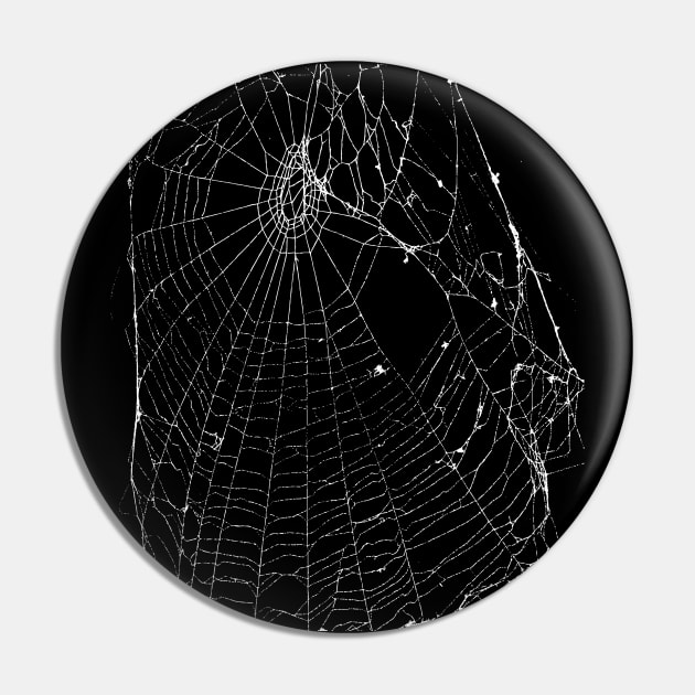 Spider Web Pin by zeljkica