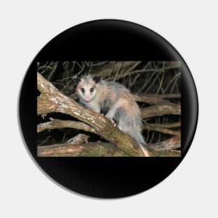 Possum Pin