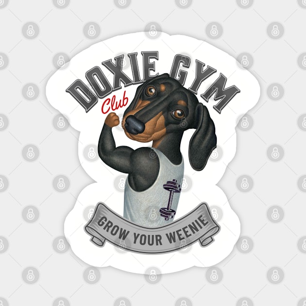 Cute Doxie Dog going to Doxie Gym in Gray trim Magnet by Danny Gordon Art