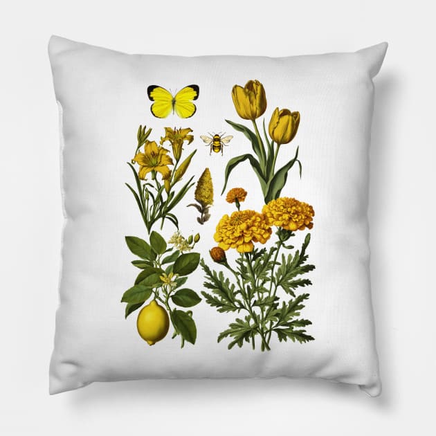 Yellow Botanicals Pillow by Kelly Jenkins