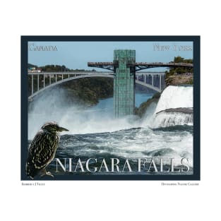 Niagara Falls Poster T-Shirt