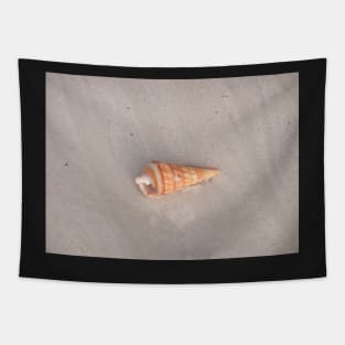 Seashell Tapestry