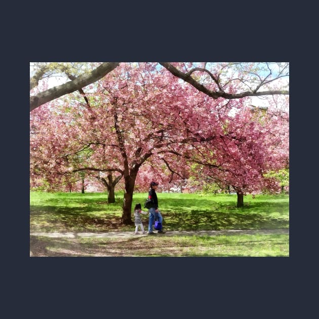 Spring - Enjoying the Cherry Trees by SusanSavad