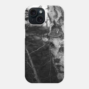 Mysterious Pointe a Bouleau Forest in Tracadie, New Brunswick Canada V4 Phone Case