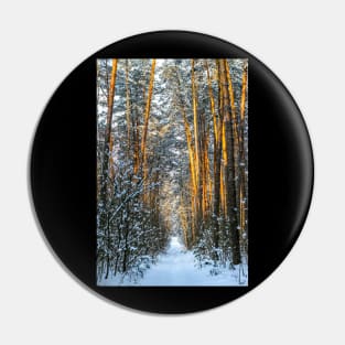 Winter landscape with snow-covered spruce forest. Pin