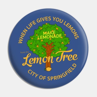 When life gives you lemons... Pin