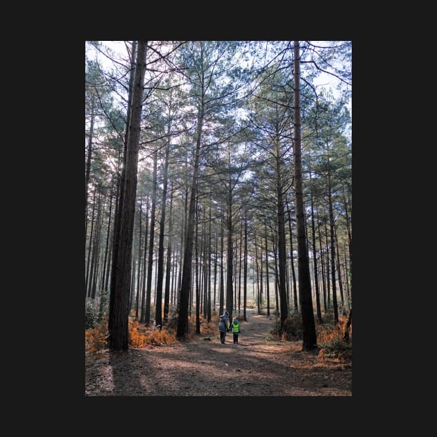 Walk in the woods canvas by fantastic-designs