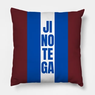 Jinotega City in Nicaraguan Flag Colors Vertical Pillow