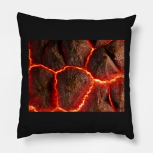 Lychee shell under the microscope Pillow