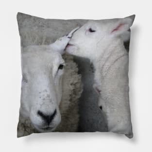 The Lamb Whisperer Pillow