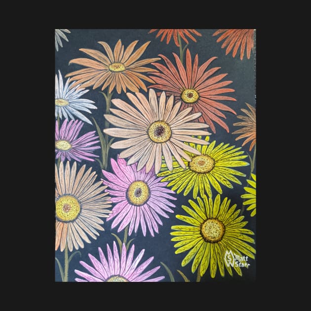 Gerbera Daisy Flowers by Matt Starr Fine Art