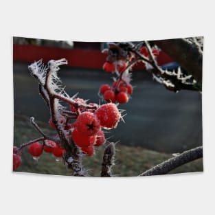 Frosty Mountain Ash Berries on a Cold November Morning Tapestry