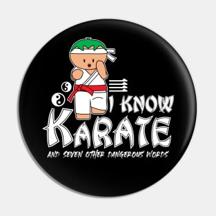 I Know Karate And Seven Other Dangerous Words Pin