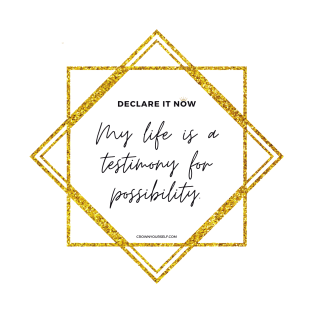 Sacred Possibility T-Shirt