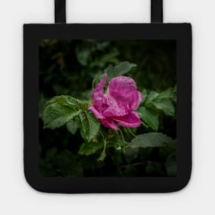 Drops Of Rain On A Rose Tote