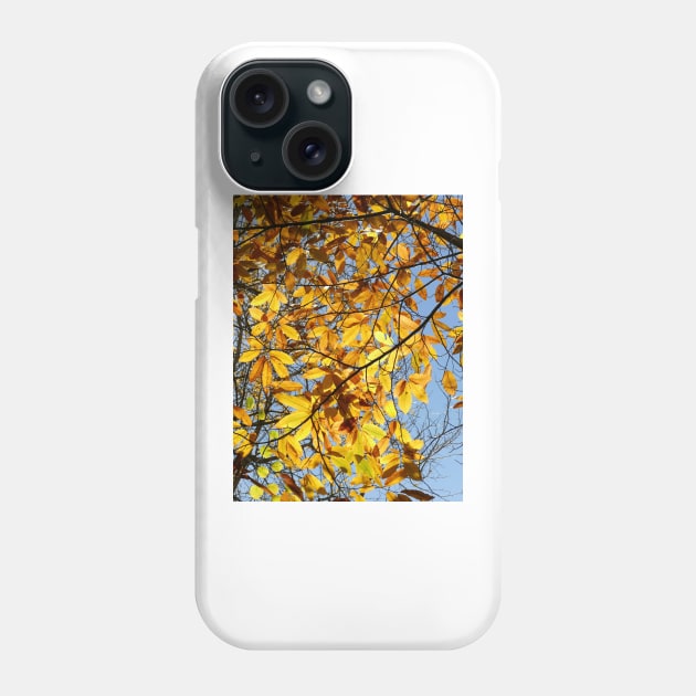 Autumn Phone Case by Chris Petty