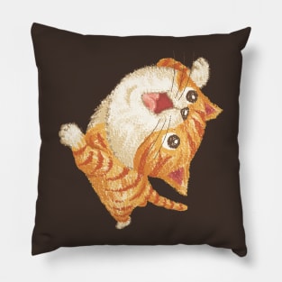 Tabby cat to look up at Pillow